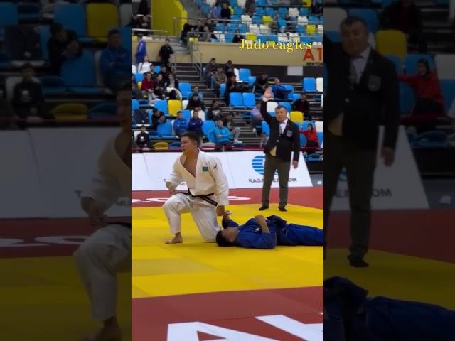 Clear Ippon 11 - Judo