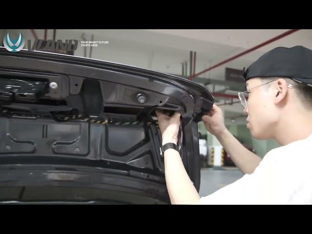 How to install VLAND OLED Tail Lights for BMW 4 Series/ M4 2014-2020?