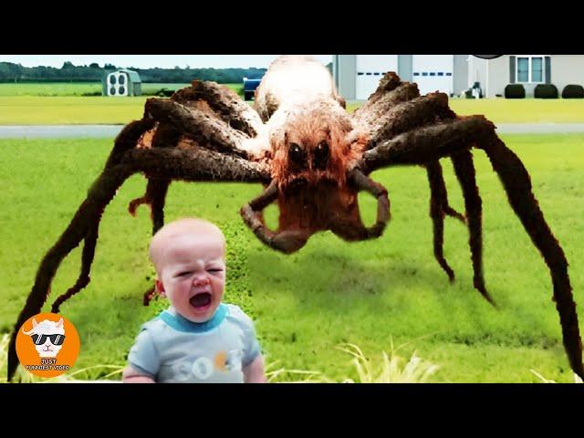 Funniest Babies Scared of Weird Decorations Videos | Just Funniest