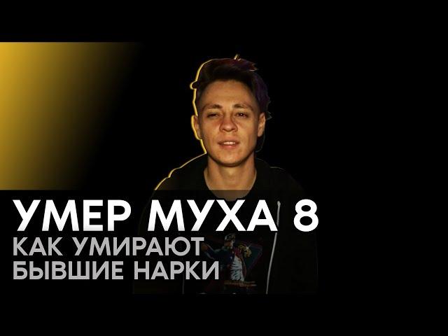 МУХА-8 RIP / РАК / ВИЧ / СПИД / КОРОНАВИРУС