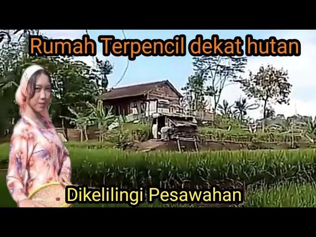 Perkampungan di Garut Jawa barat || Rumah terpencil dekat hutan, dikelilingi pesawahan.