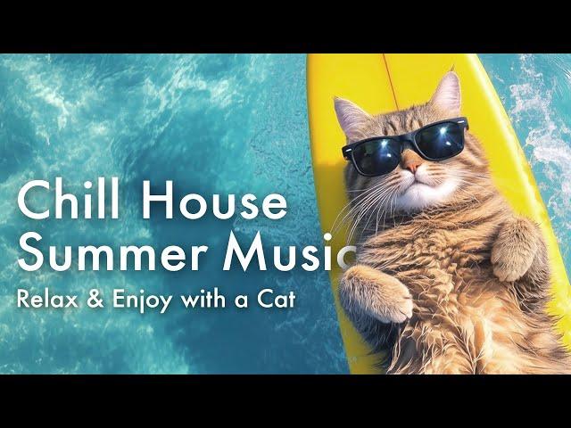 ️ Chill House Summer Music  Relax & Enjoy with a Cat 