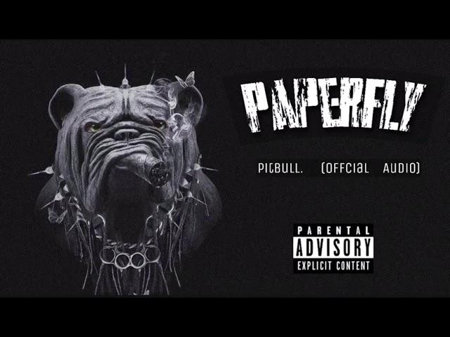 PAPERFLY - PIT BULL