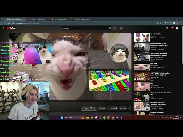 xQc Can't Stop Laughing At Crunch Cat