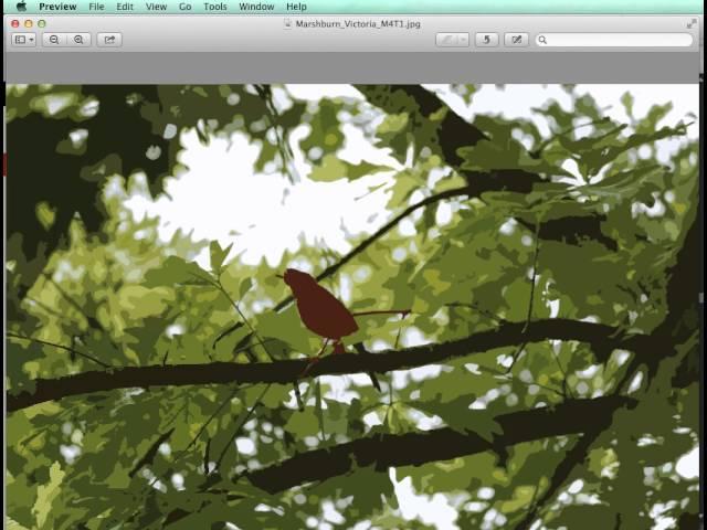 How to Export Your Illustrator File as a JPEG