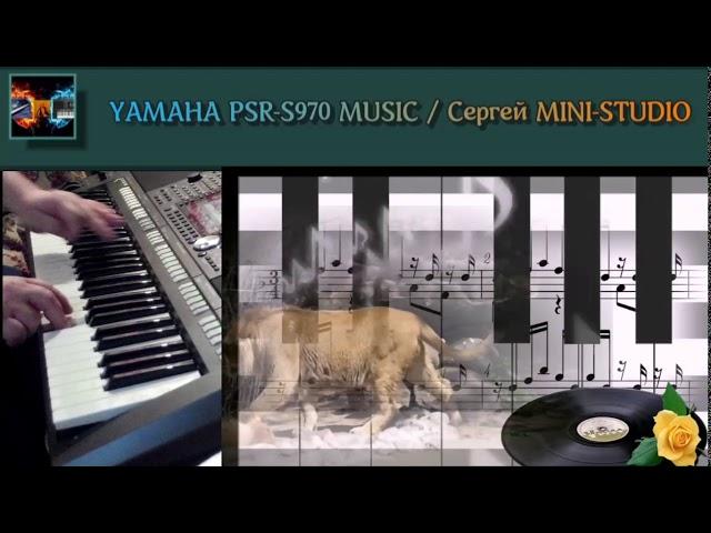 Bisquit - Zoo Zoo Dance Remix 2018 создан created на синтезаторе Yamaha PSR-S970