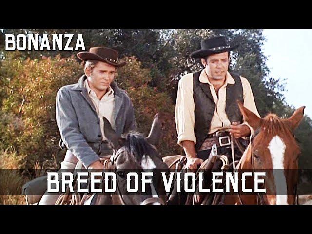 Bonanza - Breed of Violence | Episode 41 | Full Western Series | Cowboy | English