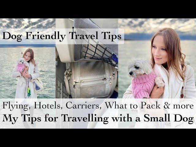 My Tips for Travelling with a Small Dog | Flying with a Dog, Pet Friendly Hotels, Carriers & more