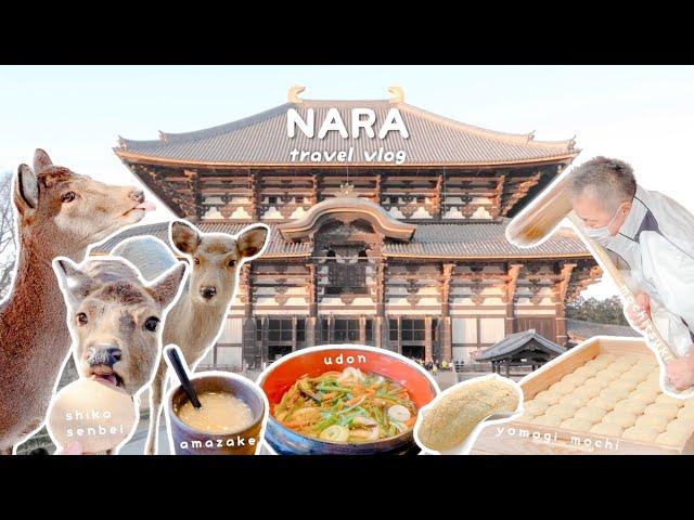  NARA travel vlog | 14 days in Japan | nara itinerary day 9 