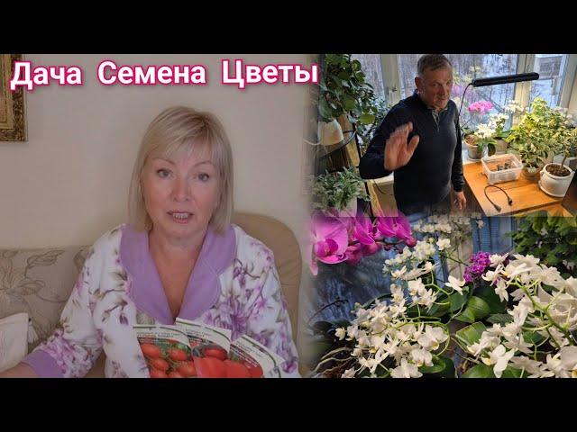 Что нас ждало на даче. Не все выжило. Рассада. Семена.Орхидеи цветут шикарно под лампой