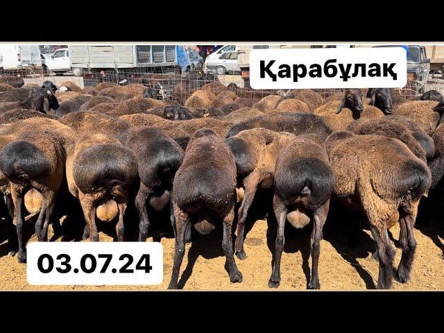 Қарабұлақ мал базары 03.07.24 Қой. Қозы. Қошқар