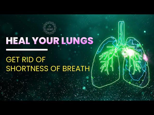 Heal Your Lungs - Get Rid Of Shortness Of Breath, Coughing, Allergies, Infections & Fatigue - 528 Hz