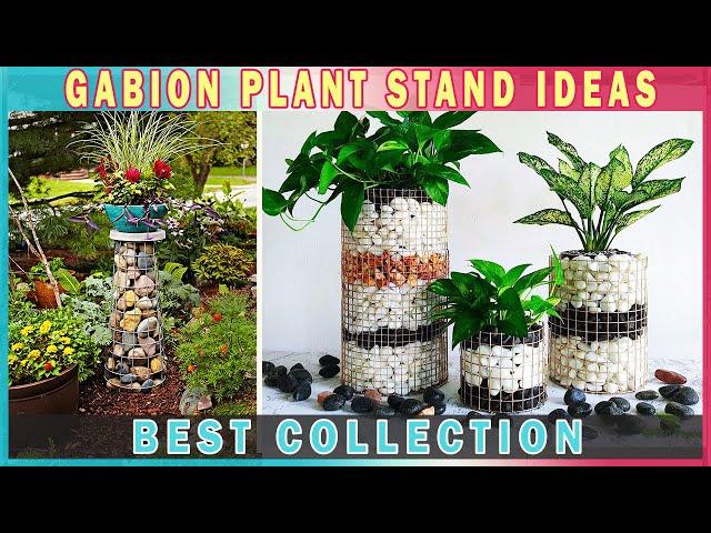 BEST COLLECTION! 30+ Gabion Plant Stands For Landscaping Project