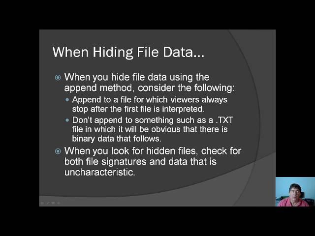 Data Hiding Part 1