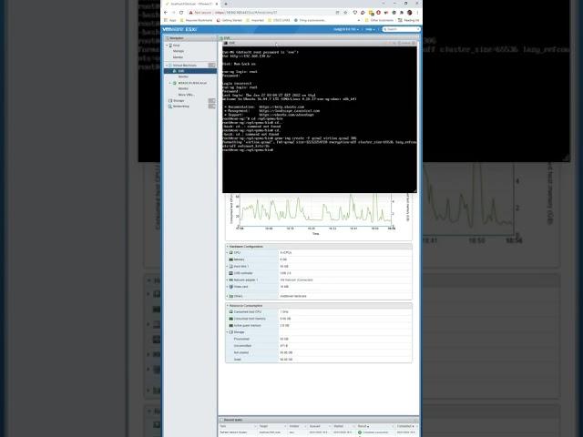 NSA LAB VMWARE ESXI