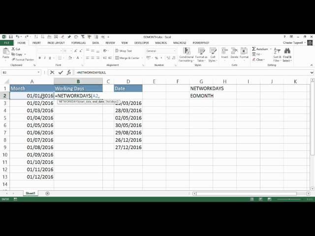 Calculate the Number of Working Days in Each Month Using Excel