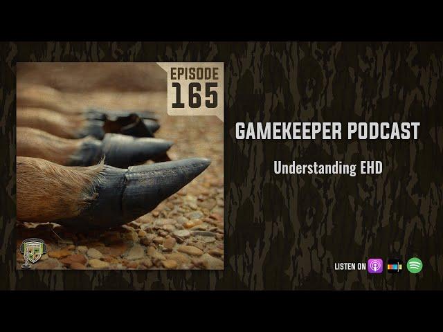 EP:165 | Understanding EHD