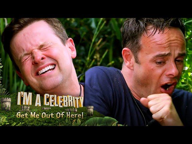 Ant & Dec FINALLY take on a Bushtucker Trial! | I'm A Celebrity... Get Me Out Of Here!