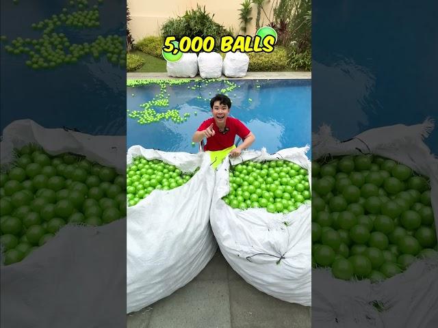 I Fill The Entire Pool With Balls!