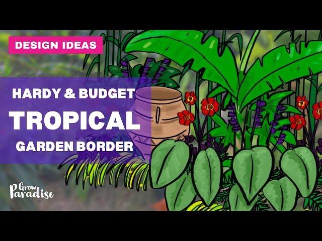 How to design a tropical garden border - hardy & low budget