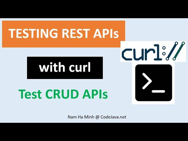 Testing REST APIs with curl  - Test CRUD APIs