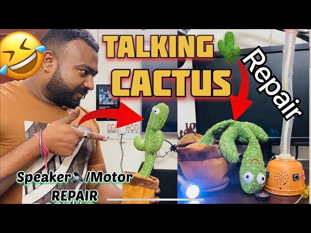 Talking Cactus  Repair Speaker Motor Easy #knowledge #viral #information #trend