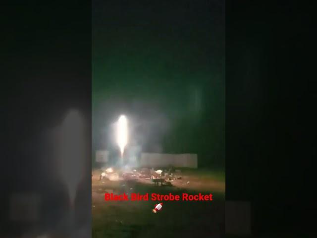 Fastest Strobe Rocket ever made! #fireworks #pyro