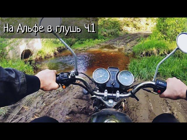 На мопеде Альфа в глушь.  Мощность мопеда. Дальняк. Сыктывкар. wilderness in Russia