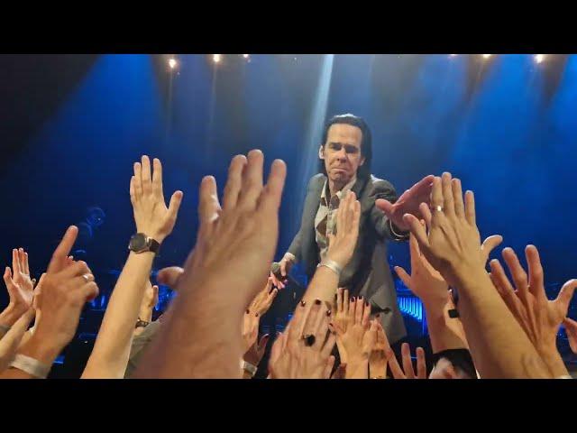 Nick Cave and The Bad Seeds - White Elephant & Papa Won't Leave You, Henry live @ Arena Zagreb 2024