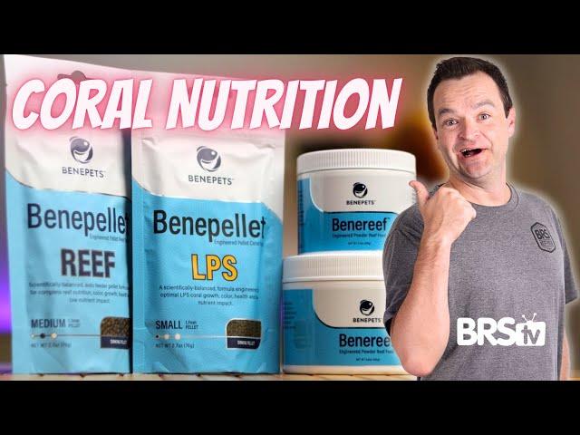 Not Just for Coral... Feed Your Entire Reef Tank! Benepets Foods