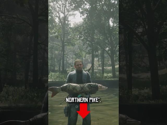 The Best Location To Catch A Northern Pike! #gaming #shorts #trending #fyp #reddeadonline