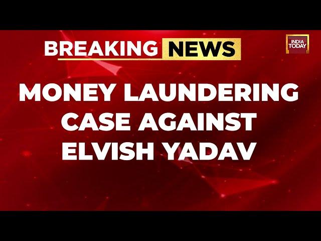 Elvish Yadav Breaking News | Money Laundering Case Against Elvish Yadav In Snake-Venom-At-Rave Case