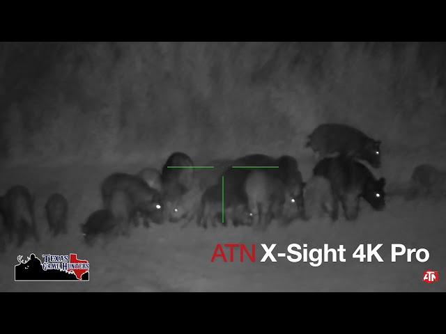 ATN X-Sight 4k Pro 5x20 Night Vision Hog Down 60 Yards