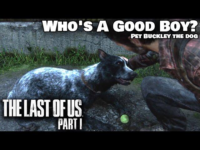 The Last of Us 1 Remake - Who's A Good Boy? Trophy Guide