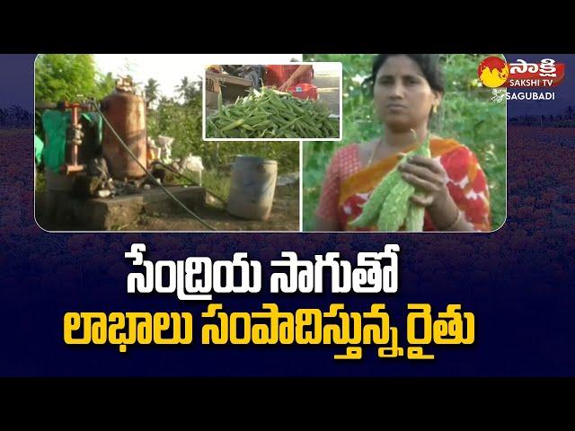 Organic Vegetable Farming In Peddapalli | Farmer Kota Raja Malla Reddy Organic Cultivation| SakshiTV