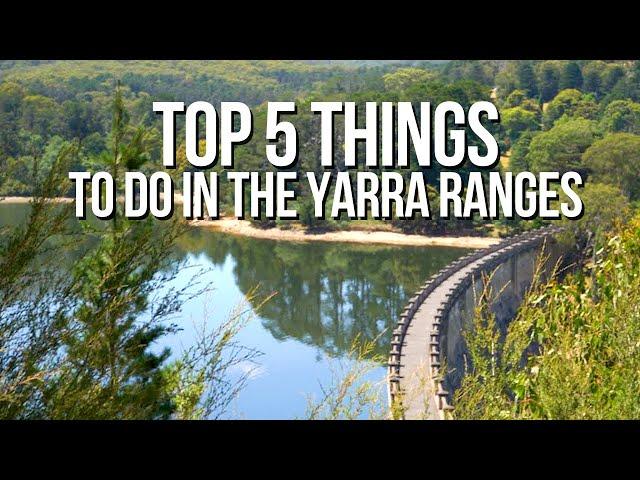 Top 5 Things To Do In The Yarra Ranges and Surrounds