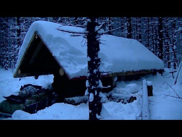 Тайга... да километры. Путь длиною в 300 км. по Тайге Среднего Урала.