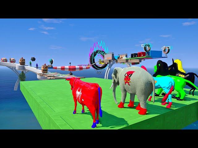 Long Slide Game With Elephant Gorilla Buffalo Hippopotamus Tiger - 3d Animal Game - Funny 3d Animals