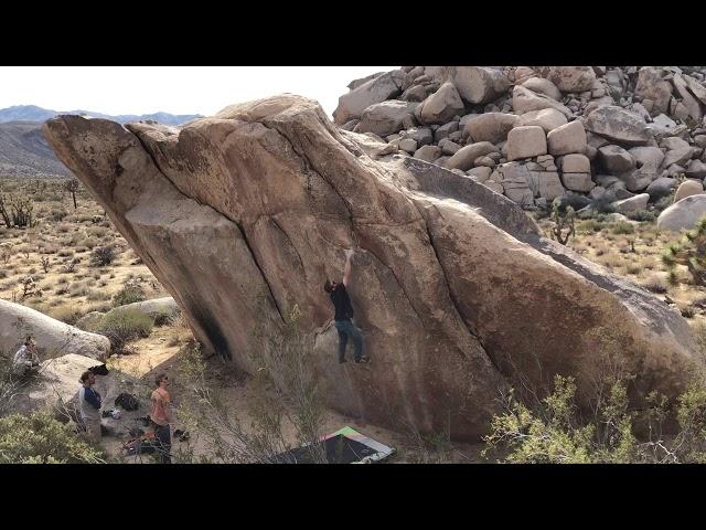 Joshua Tree - 4 Star Dyno V6