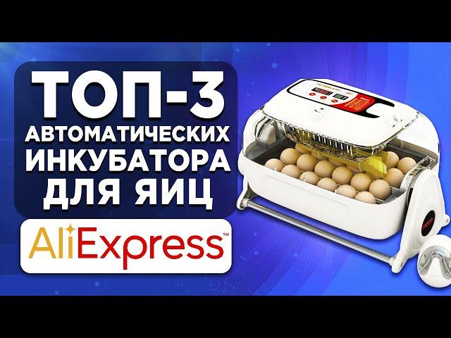 ТОП-3 автоматических инкубатора для яиц с АлиЭкспресс. Рейтинг