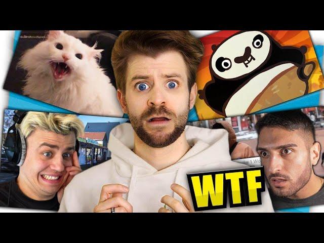 WAS PASSIERT HIER?!? - Zeo und das Internet