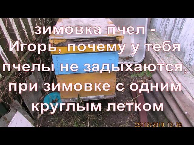 зимовка пчел - Игорь, почему у тебя пчелы не задыхаются при зимовке с одним круглым летком ?