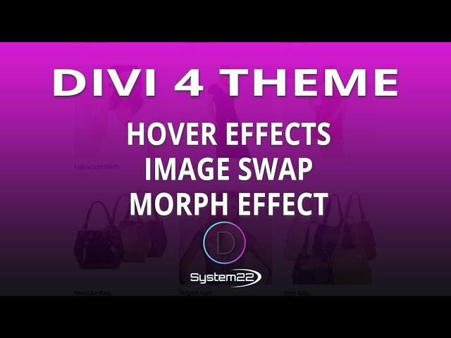 Divi Theme Hover Effects Image Swap Morph Effect 