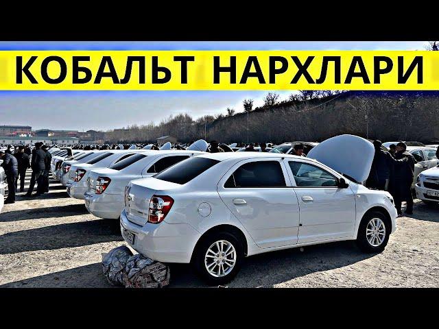 COBALT NARXLARI 2025 КОБАЛЬТ НАРХЛАРИ 2025.SAMARQAND MOSHINA BOZORI 2025 САМАРКАНД МОШИН БОЗОР 2025