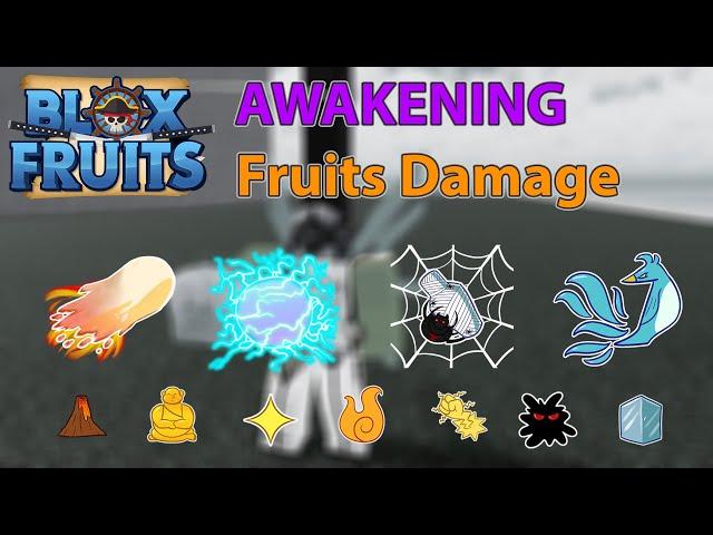 Blox Fruits - Xếp Hạng Dame Tất Cả Trái Ác Quỷ Thức Tỉnh | Roblox