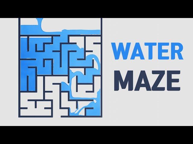 Water Maze