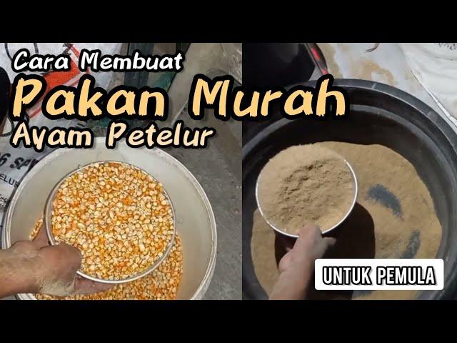 MEMBUAT PAKAN AYAM PETELUR MURAH, SOLUSI PETERNAK PEMULA KARENA HARGA PAKAN JADI NAIK TERUS.