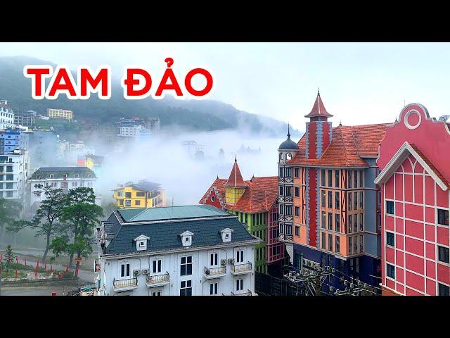 Tam Dao travel experience from A-Z - The Best Way