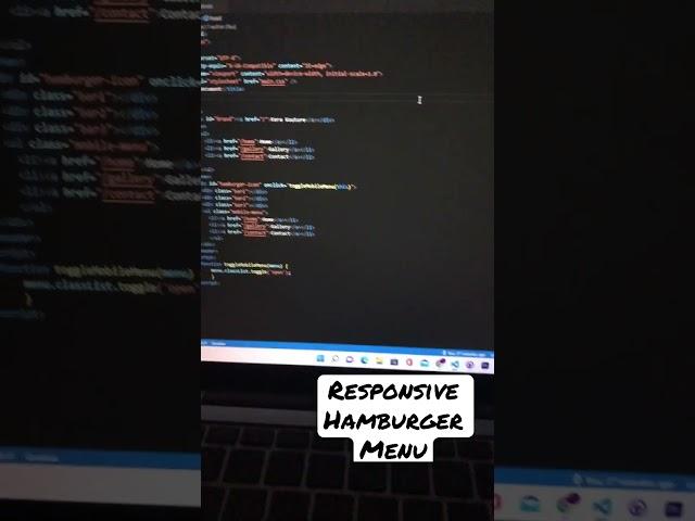 Responsive hamburger menu html css only