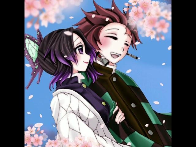 tanjiro x shinobu